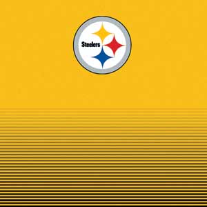 NFL Pittsburgh Steelers Breakaway Xbox 360 (Includes HDD) Skin
